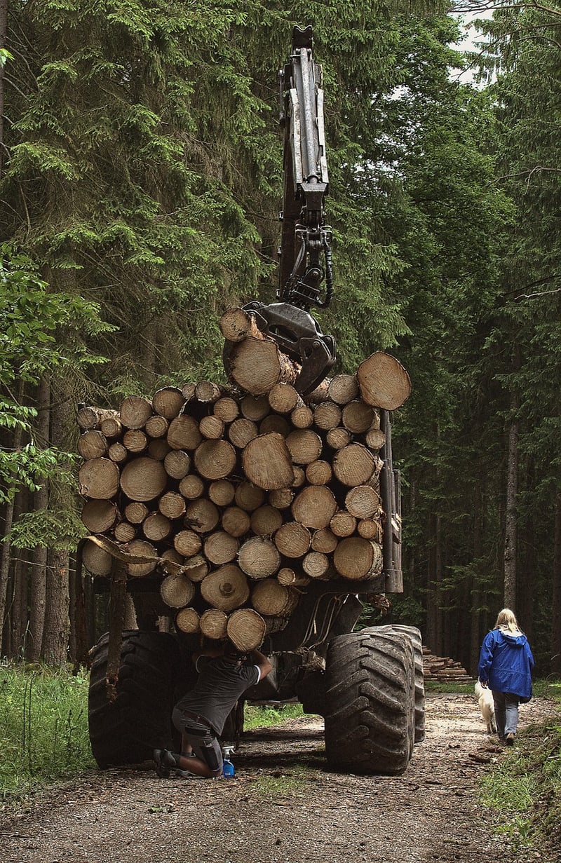 Forest Retreats