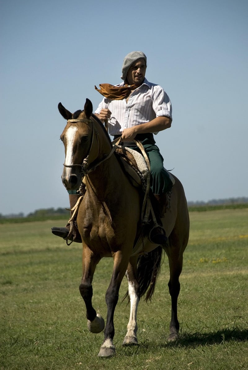 Rural Rides